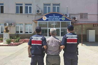 Orman alanını işgal eden hükümlü yakalandı