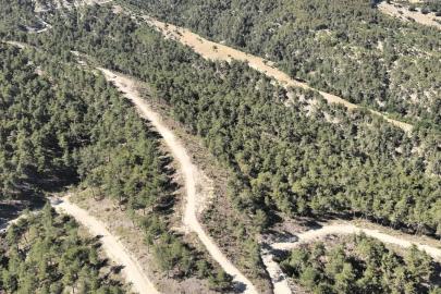 Orman köylülerine endüstriyel odundan 1 milyar TL’lik katkı