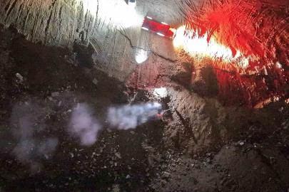 Ormanlık alandaki yangını görüp itfaiyeye haber verdi, alevler büyümeden söndürüldü