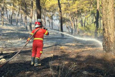 Ortaca’da orman yangını