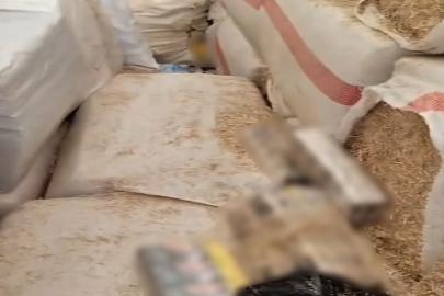 Şanlıurfa’da milyonluk operasyon