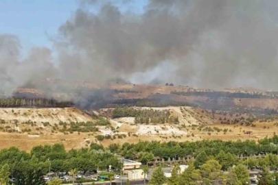 Şanlıurfa’da ormanlık alanda korkutan yangın