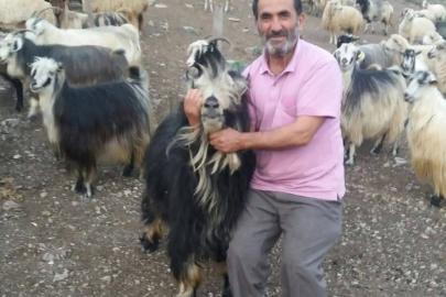 Şavşat Deresi’nde kaybolan babanın cansız bedenine ulaşıldı