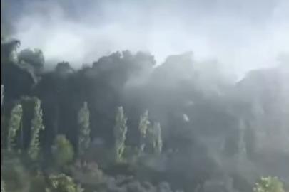 Seydikemer’de orman yangını