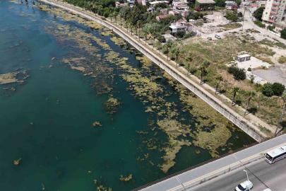 Seyhan Nehri kirliliğe teslim oldu, gönüllü genç sandalla temizliğe çıktı
