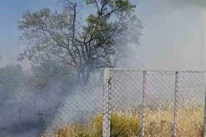Siirt’te evin bahçesinde çıkan yangında meyve ağaçları kül oldu