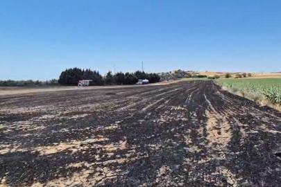 Silivri’de elektrik direği kesimi sırasında yangın: Ekili araziler zarar gördü