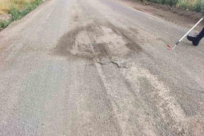 Sivas’ta odun yığınlarının arasına giren yılan itfaiye ekiplerini harekete geçirdi