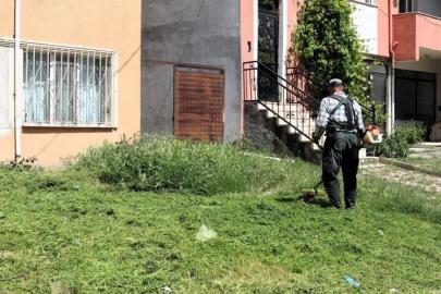 Söğüt’te çim biçme ve ilaçlama çalışmaları aralıksız devam ediyor
