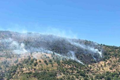 Sultanhisar’daki yangına havadan ve karadan müdahale sürüyor