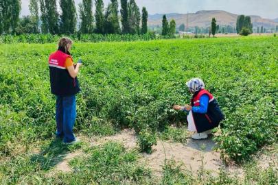 Tarım arazilerinin korunması çalışmaları sürüyor