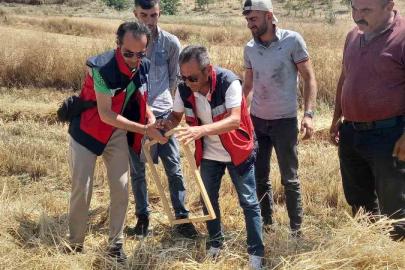 Tavşanlı’da biçerdöver kontrolleri sürüyor