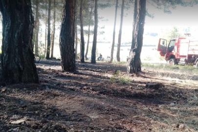 Tavşanlı’da erken müdahale ormanı kurtardı