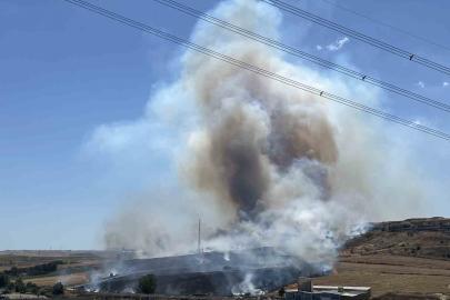 Tekirdağ’da korkutan yangın: 500 dönüm anız alev alev yandı