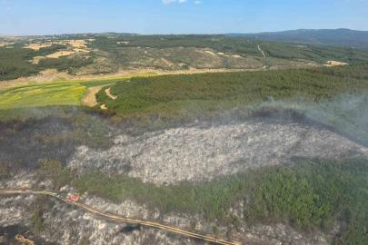 Tekirdağ’da orman yangını: Ekipler havadan ve karadan seferber oldu