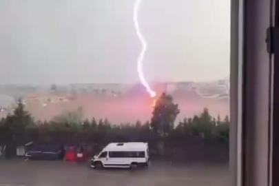 Tekirdağ’da palmiye ağacına yıldırım düştü, alev alev yandı