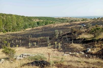 Tokat’ta örtü yangını: 15 dönüm ekili arazi küle döndü