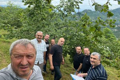 Trabzon’da fındıkta rekolte tespiti çalışmaları başladı