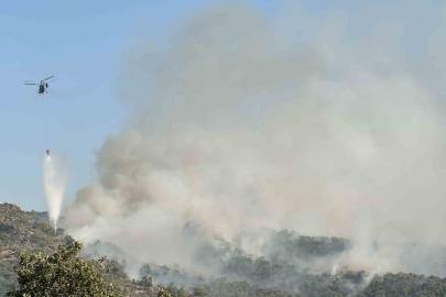 Uşak’ta meşelik alanda çıkan yangına müdahale sürüyor