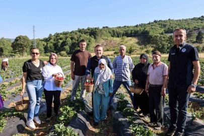 Vali Sözer, huzurevi sakinleriyle çilek hasadı yaptı