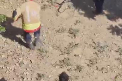 Yakalanacakken kaçan yılan, ekipleri peşine taktı
