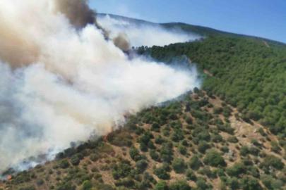 Yalova’daki orman yangını söndürüldü, bölgede soğutma çalışmaları sürüyor