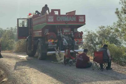 Yeşil vatan için ateşe yürüdüler, sabahı küle bulanmış yüzlerle karşıladılar