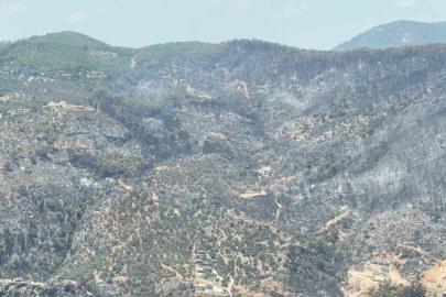 Yeşilden siyaha bürünen alan helikopterden görüntülendi