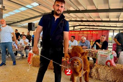 Yılın en güzel buzağısı 40 günlük buzağı oldu