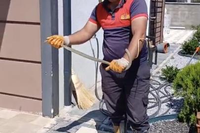 Yozgat’ta evin bahçesine giren yılan doğaya bırakıldı