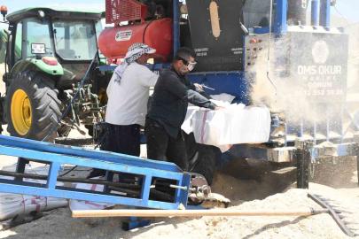 Yozgat’ta saman mesaisi: Tozun içinde ekmek mücadelesi
