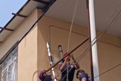 Adana’da tavana sıkışan güvercini itfaiye kurtardı