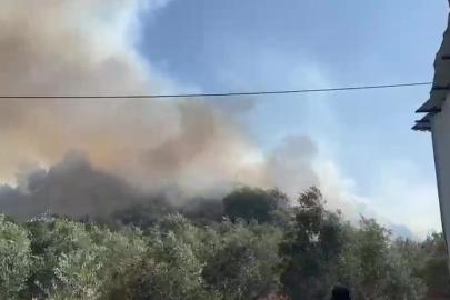 Aksu’da ormanlık ve zeytinlik alanda yangın