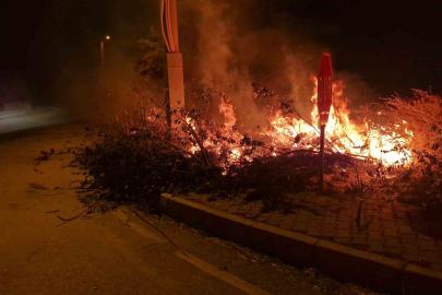 Alaca’da çıkan örtü yangını söndürüldü