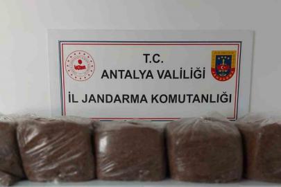 Alanya ve Demre’de 285 kilo kaçak tütün ele geçirildi