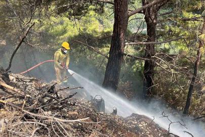 Alanya’da ormanlık alan yangını büyümeden kontrol altına alındı