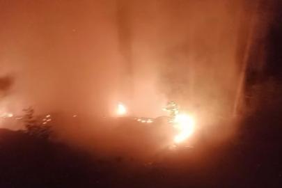 Alanya’da ormanlık alan yangınında 2 dönüm alan zarar gördü