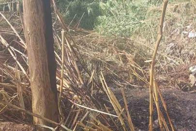 Alanya’da otluk alanda çıkan yangın büyümeden söndürüldü