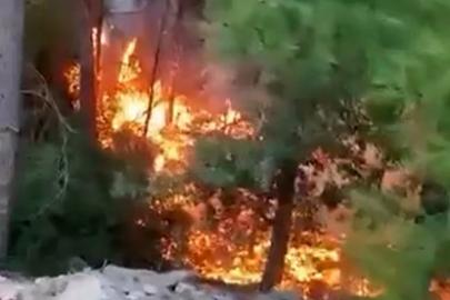 Alanya’da yıldırımın düşmesiyle yangın çıktı: 1 dönüm alan zarar gördü
