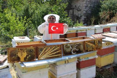 Amasya’da arıların seçimi sonuçlandı