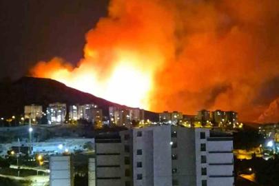 Ankara’da ağaçlık alanda yangın
