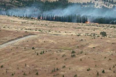 Ankara’da ağaçlık alanda yangın