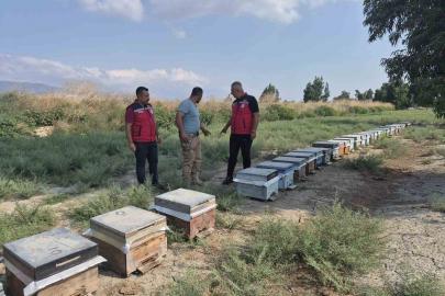 Antakya’da arıcılar bal sağımını sürdürüyor