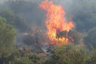 Antalya’da iki ilçede çıkan orman yangınları kontrol altına alındı
