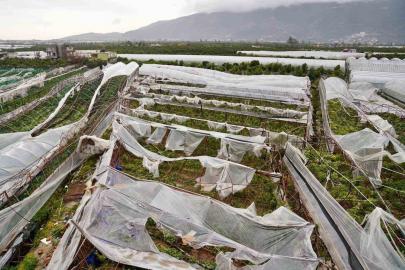 Antalya’da üreticilere 1 yılda 657 bin 400 metrekare sera naylonu hibe edildi