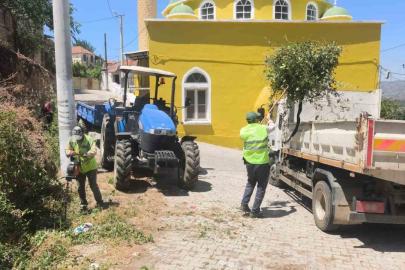 Aydın Büyükşehir’den Karpuzlu’daki yeşil alanlarda bakım ve düzenleme çalışması