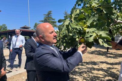 Aydın’a 100 milyonluk yatırım