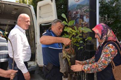 Babadağ Belediyesinden çiftçilere ceviz fidanı desteği