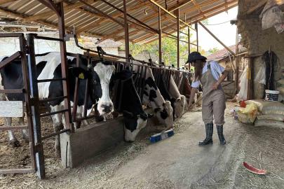 Babasının geçirdiği iş kazasıyla çiftliğin yükü omuzlarına bindi, o ise üretmekten vazgeçmedi