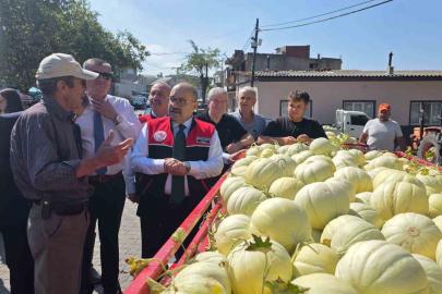Balıkesir’de ata tohumuyla yetiştirilen beyaz kavunun hasadı başladı